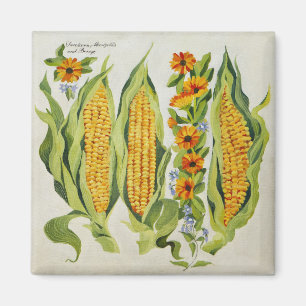 Corn and marrow flowers 2014 magnet