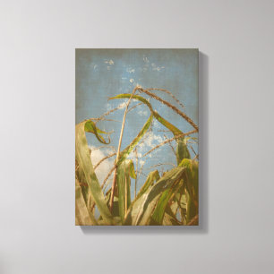 Corn Canvas Print