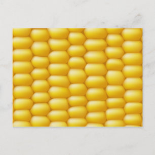 Corn Cob Background Postcard