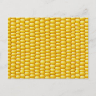 Corn Cob Background Postcard