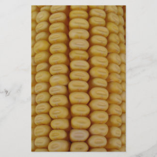 Corn Cob Close Up Stationery