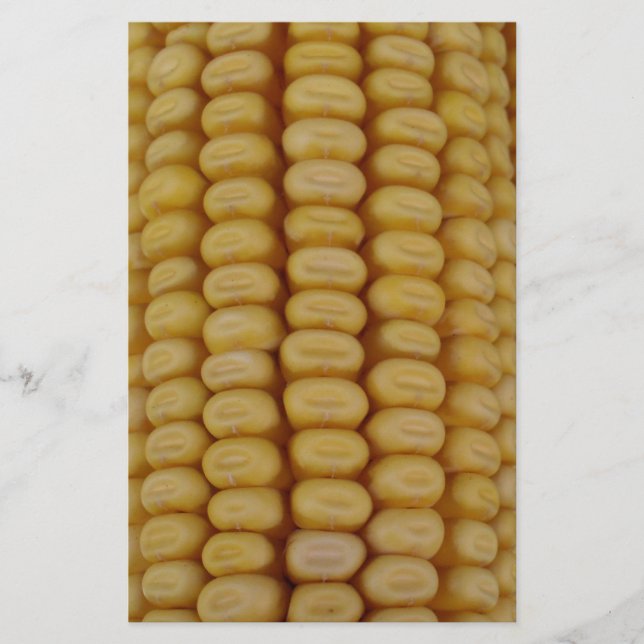 Corn Cob Close Up Stationery (Front)