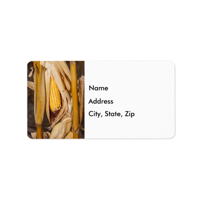 Corn Cobb On Stalk Address Labels (Front)