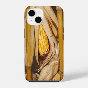 Corn Cobb On Stalk iPhone 14 Case