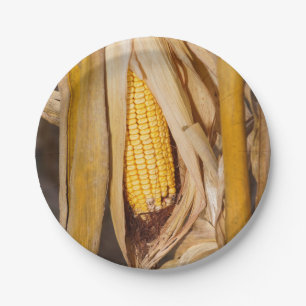 Corn Cobb On Stalk Paper Plate