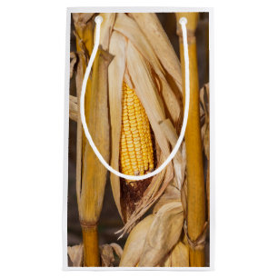 Corn Cobb On Stalk Small Gift Bag