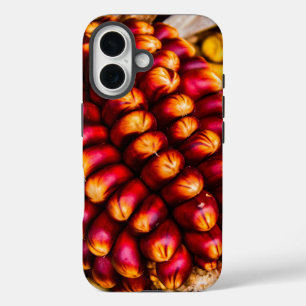 Corn cobs iPhone 16 case