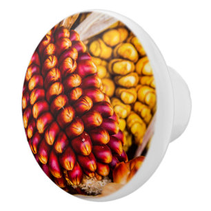 Corn cobs ceramic knob