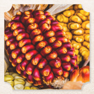 Corn cobs paper coaster