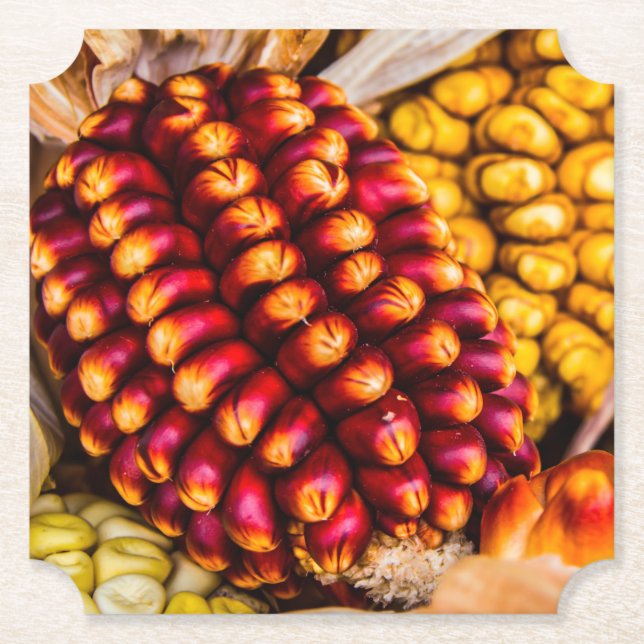 Corn cobs paper coaster (Front)