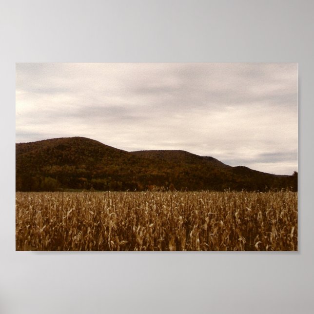 Corn field in the fall poster (Front)