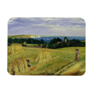 Corn Field in the Isle of Wight Magnet