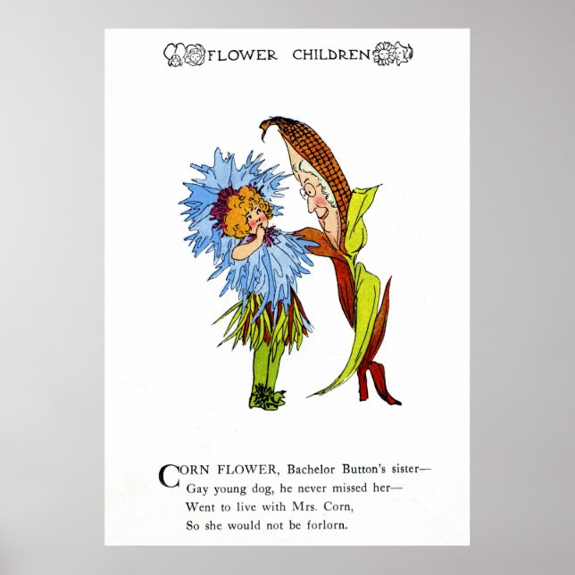 Corn Flower Poster (Front)