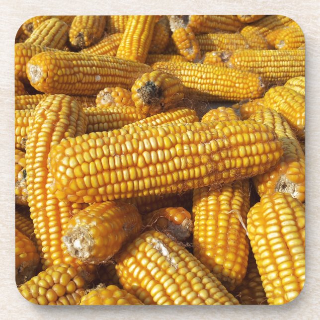 Corn Harvest Coaster (Front)