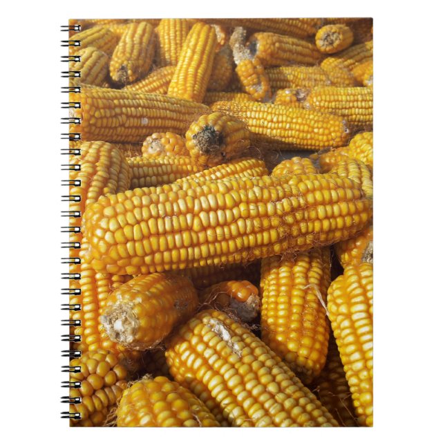 Corn Harvest Notebook (Front)