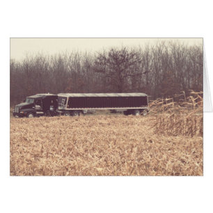 Corn Harvest Time