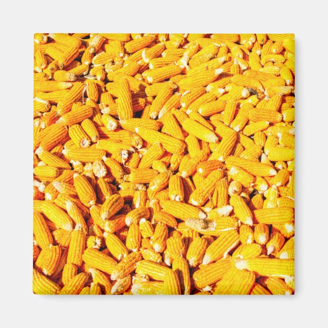 Corn on The Cob Magnet (Front)