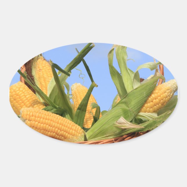 Corn on the Cob Sticker (Front)