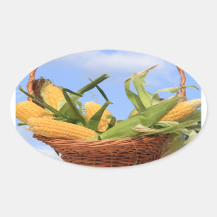 Corn on the Cob Sticker