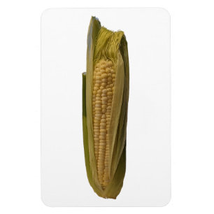 Corn Photot Magnet