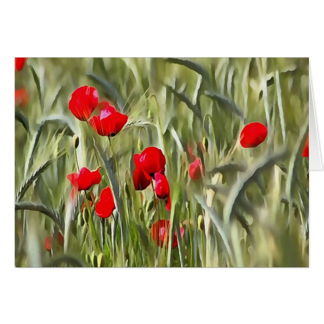Corn Poppies (Front Horizontal)