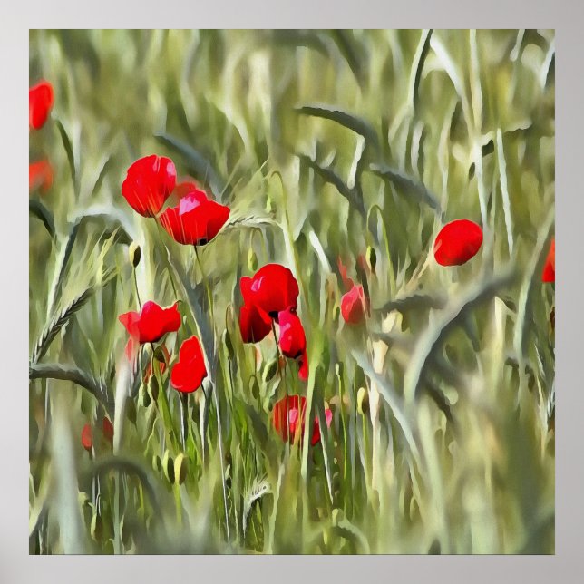 Corn Poppies Poster (Front)