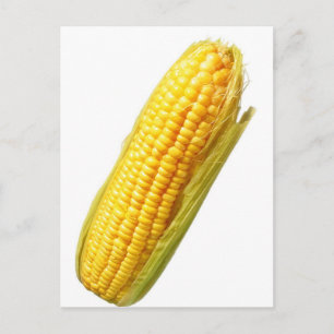 corn postcard