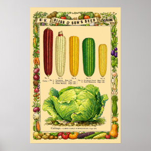 Corn Retro Victorian Era Botanical Art Poster