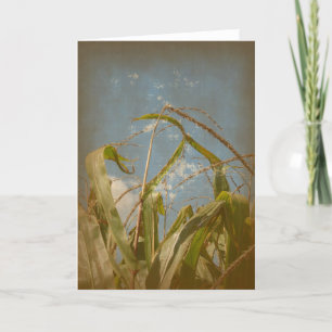 Corn Rural Grunge All Occasions Card