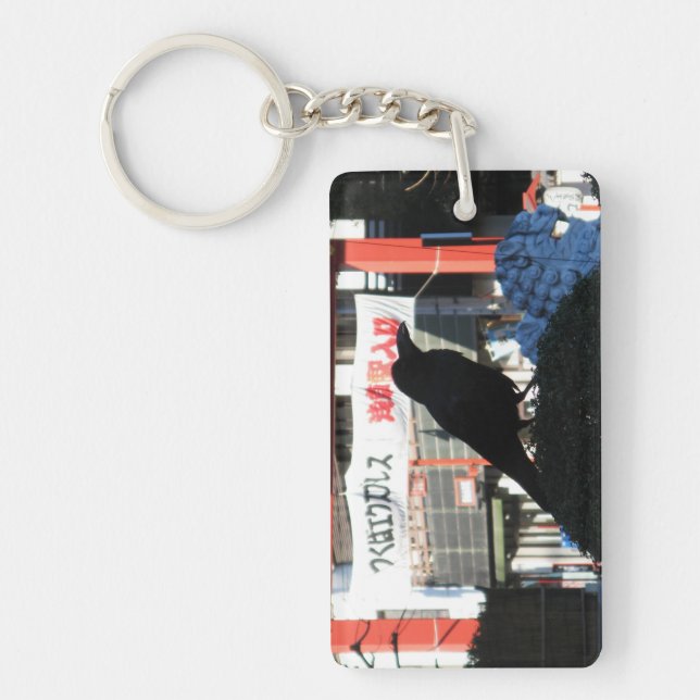 Corneille japonaise (Devant)