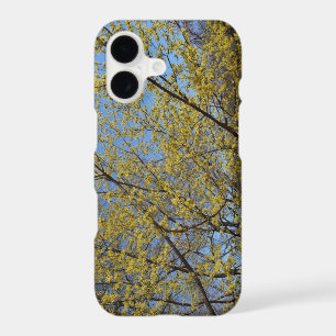 Cornelian Cherry