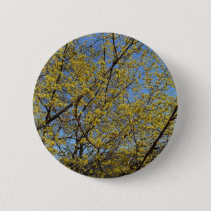 Cornelian Cherry Dogwood and Blue Sky Floral 2 Inch Round Button