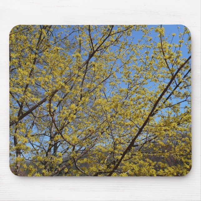 Cornelian Cherry Dogwood and Blue Sky Floral Mouse Pad (Front)