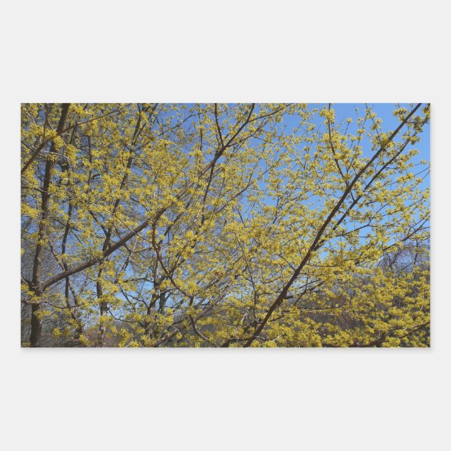 Cornelian Cherry Dogwood and Blue Sky Floral Sticker (Front)