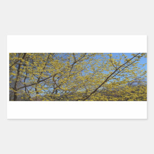 Cornelian Cherry Dogwood and Blue Sky Floral Sticker