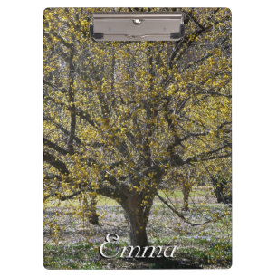 Cornelian Cherry Dogwood and Glory of the Snow Clipboard