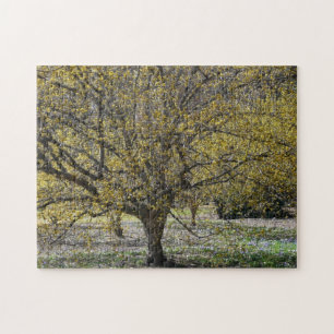 Cornelian Cherry Dogwood and Glory of the Snow Jigsaw Puzzle