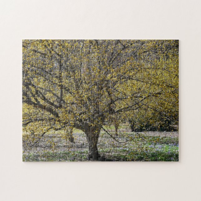 Cornelian Cherry Dogwood and Glory of the Snow Jigsaw Puzzle (Horizontal)