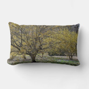Cornelian Cherry Dogwood and Glory of the Snow Lumbar Pillow
