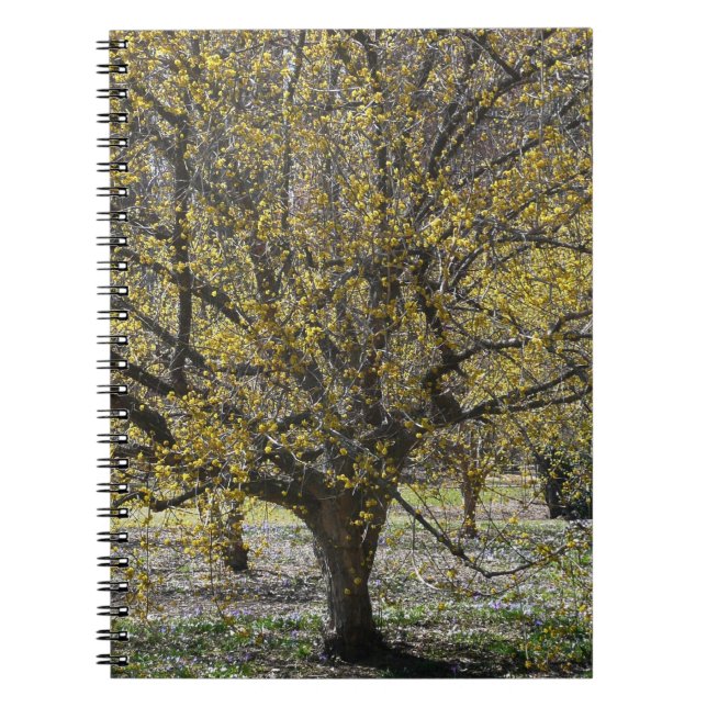 Cornelian Cherry Dogwood and Glory of the Snow Notebook (Front)