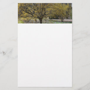 Cornelian Cherry Dogwood and Glory of the Snow Stationery