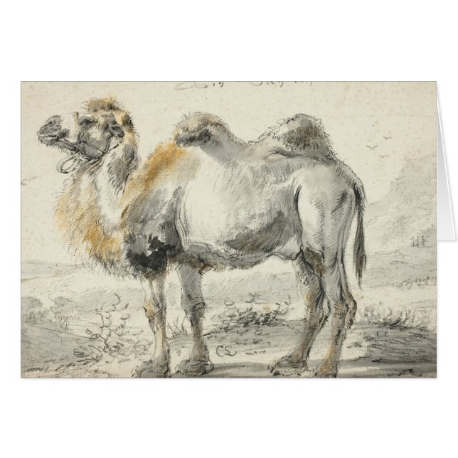 Cornelis Saftleven - A Camel (Front Horizontal)