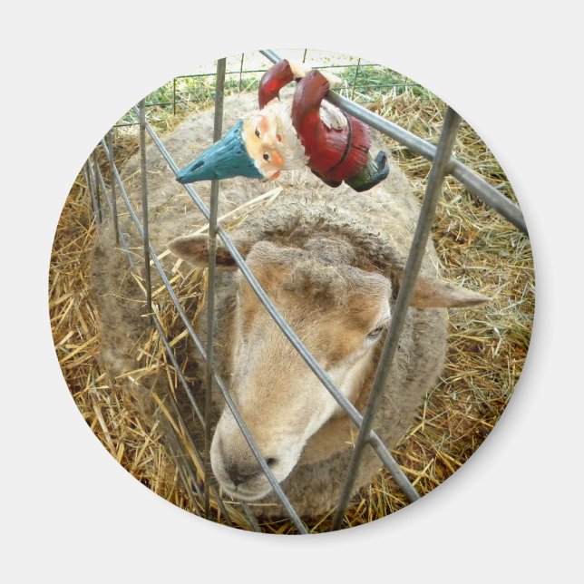 Cornelius and the Sheep Magnet (Front)