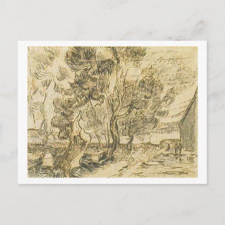 Corner of Asylum and Garden, Vincent van Gogh Postcard