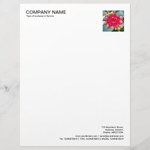 Corner Photo - Kalanchoe Flower Letterhead