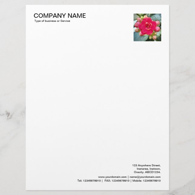 Corner Photo - Kalanchoe Flower Letterhead (Front)