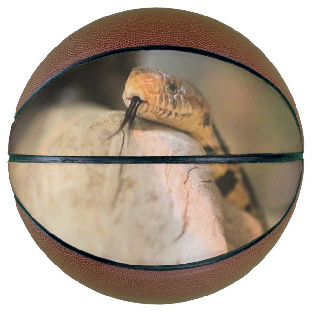 Corney Basketball (Front)