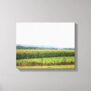 Cornfield Landscape with Trees on Horizon 11x14 Canvas Print