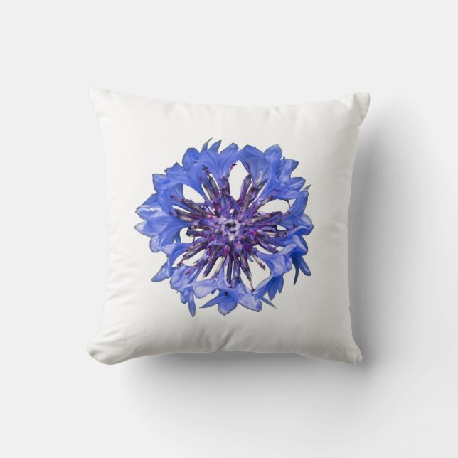 Cornflower, bachelor button throw pillow (Front)