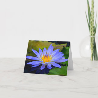 Cornflower Blue Big Water Lily Note Cartes de voeu
